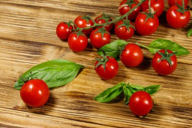 Tahta bir masada yeşil fesleğen yapraklı taze kiraz domatesleri.