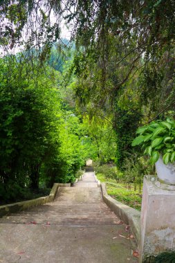 Gürcistan, Batum botanik bahçesinin güzel manzarası