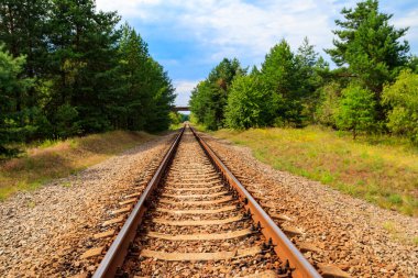 Yeşil bir çam ormanının içinden geçen tren yolu.