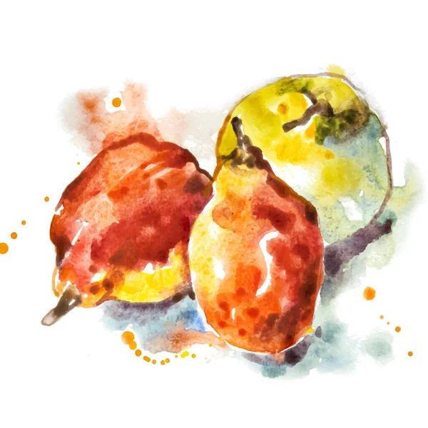 Vecteur Lumineux Fruits Aquarelle — Image vectorielle