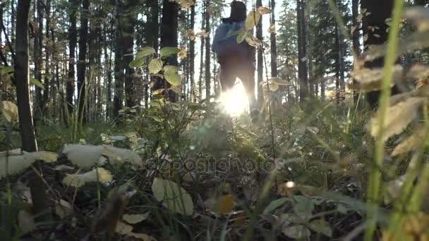fille marche dans la forêt 