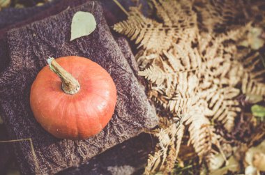 Kabak katlanmış yün ceketler