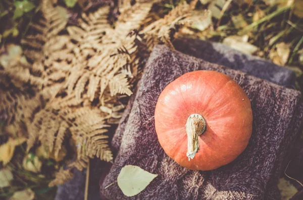 Kabak katlanmış yün ceketler