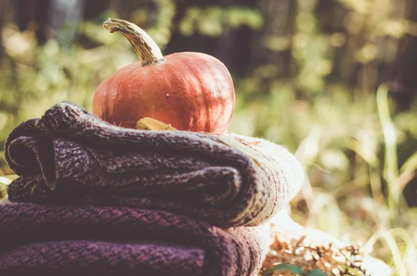 Kabak katlanmış yün ceketler 