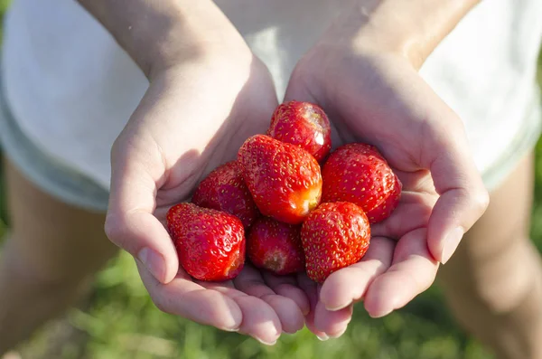 Kızın elinde taze çilek