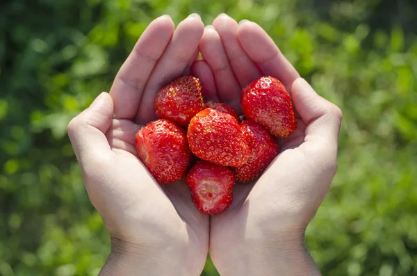 Kızın elinde taze çilek