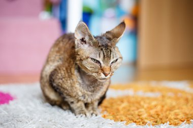  Kimlik: 128083390 adı: Img_0231_Alr.jpg