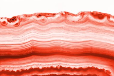 Arka plan - kırmızı akik bölüm dilim mineral beyaz arka plan üzerinde izole çapraz