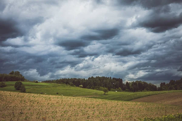 Paysage Nuageux Orageux Sur Les Champs Les Pâturages — Photo