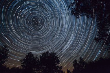 Yıldızlı gece gökyüzü, ağaçlar arasında yıldız izleri