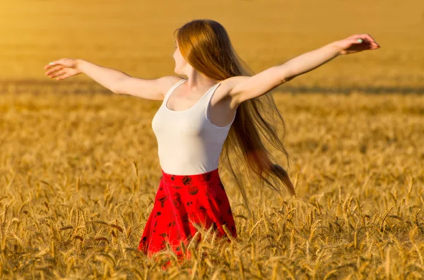 Chica volvió sus brazos extendidos en un campo de trigo — Foto de Stock