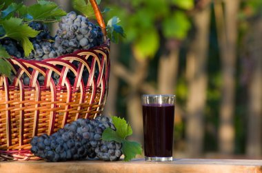 Glass of grape juice with grapes wicker basket, a garden in the background clipart