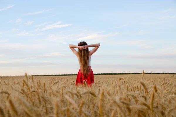 Menina de pé em um campo de trigo com as mãos atrás de sua cabeça, o céu noturno visto por trás — Fotografia de Stock