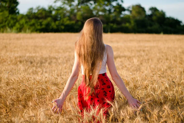 Girl with long hair standing in a wheat field with his back, in the rays of the evening sun