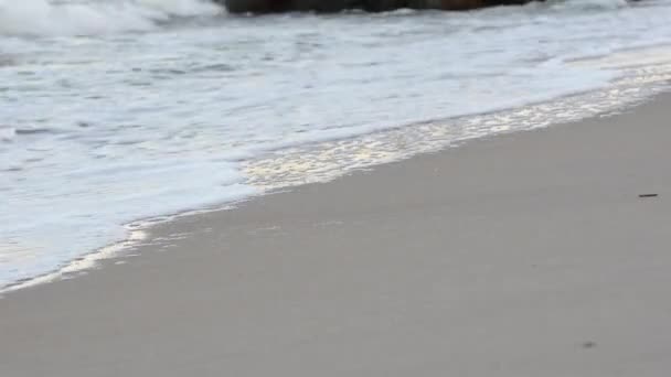Surf marítimo, frente a la playa de arena. Pies chica caminando en la playa — Vídeo de stock