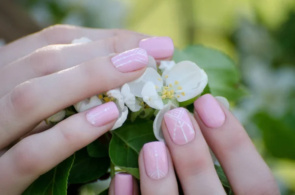 Elma ağacı çiçekli eller manikür. Yakın çekim
