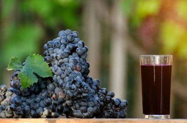 Bouquet de raisins bleus et un verre de jus de raisin sur la table dans le jardin — Photo