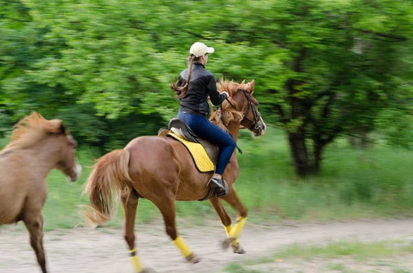 Menina cavaleiro no cavalo galopando através da floresta — Fotografia de Stock