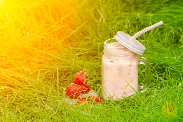 요구르트와 딸기 녹색 잔디, 햇빛에의 낯 짝 — 스톡 사진