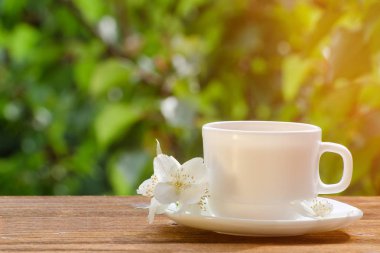 Beyaz kupa çay Yasemin üzerinde bir arka plan yeşil, güneş ışığı ile. Yakın çekim