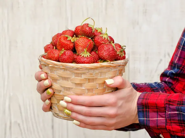 Las manos de las mujeres sostienen una cesta de mimbre de fresas maduras sobre un fondo de madera claro — Foto de Stock