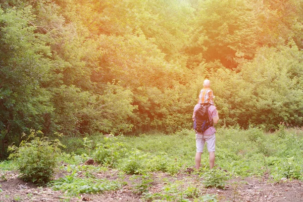 Joven padre con hijo sobre hombros de pie sobre un fondo de bosque verde. Vista trasera. Luz solar . — Foto de Stock