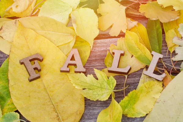 Belettering van houten letters gele Herfstbladeren op de achtergrond — Stockfoto