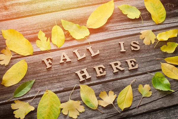 Yazıt. Sonbahar burada ahşap harflerle. Sarı yapraklar, ahşap arka plan çerçevesinde