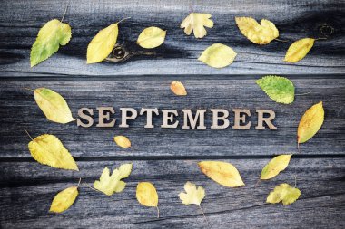 Word Eylül, ahşap harfler. Sarı yapraklar, ahşap arka plan çerçevesinde