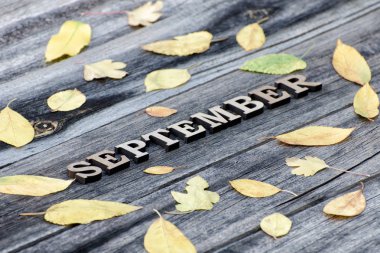 Word Eylül, ahşap harfler. Sarı yapraklar, ahşap arka plan çerçevesinde