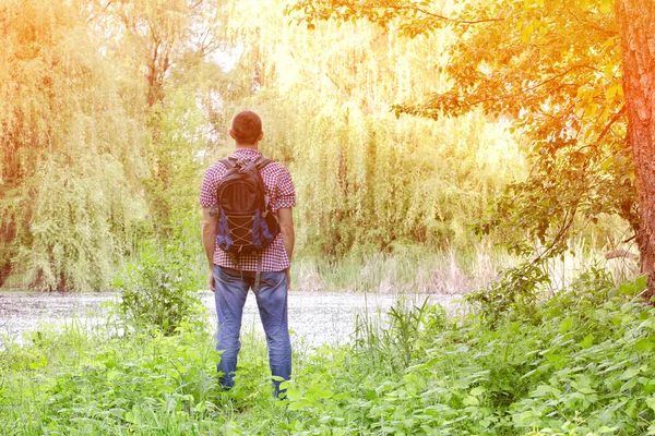 Adam bir sırt çantası ile bir orman göl kıyısında ayakta duruyor. Arkadan Görünüm