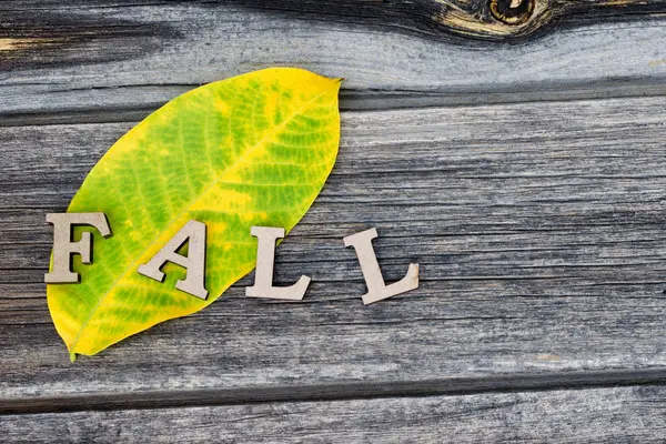 Слово "осінь" складається з дерев'яних літер на жовто-зеленому листі та дерев'яного фону. Крупним планом — стокове фото