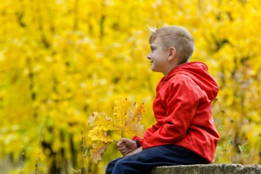 Sonbahar ormandaki bir ağaç kütüğü oturan kırmızı ceketli çocuk. Yan görünüm