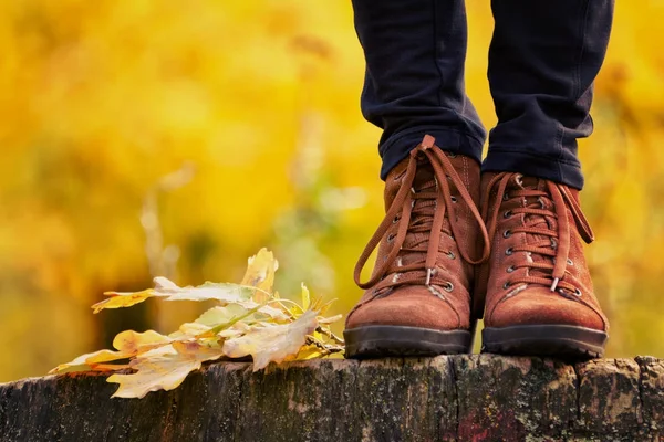 Zapatos femeninos marrones en un muñón, queriendo follaje. Concepto de otoño — Foto de Stock