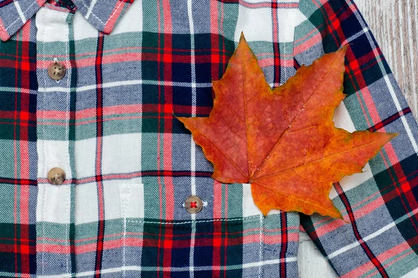 Camisa xadrez e folha de bordo. Close-up. Conceito na moda . — Fotografia de Stock