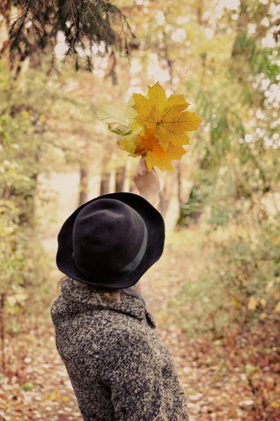 Menina de chapéu segurando um buquê de folhas amarelas. Floresta de outono . — Fotografia de Stock