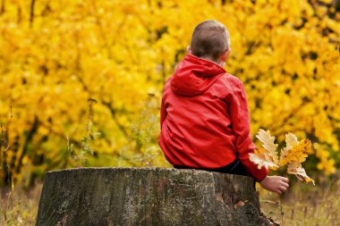 Sonbahar ormandaki bir ağaç kütüğü oturan kırmızı ceketli çocuk. Arkadan Görünüm
