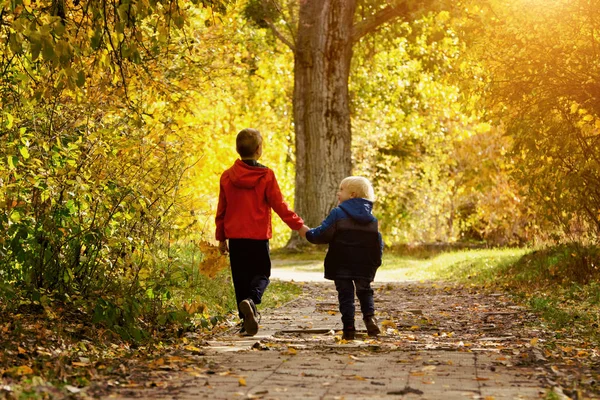 Two boys walking in the autumn park. Sunny day. Back view Stock Picture
