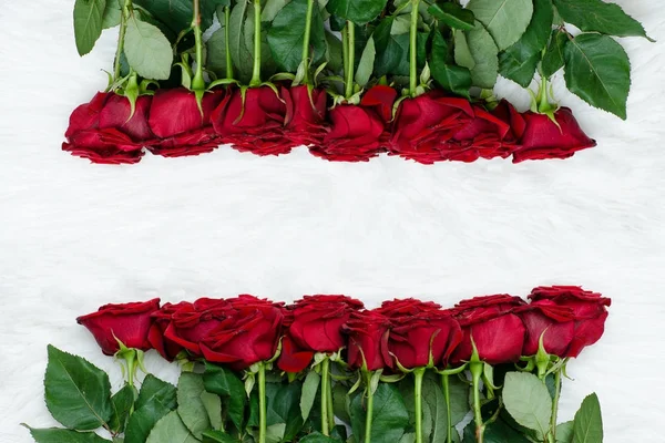 Red roses on a white artificial fur, top view — Stock Photo, Image