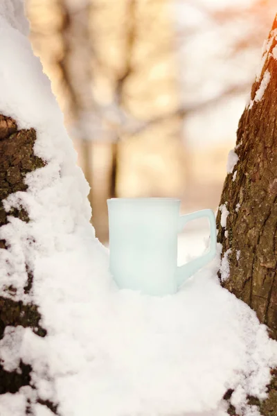 Tazza sull'albero nella neve. Chiudi, luce del sole — Foto Stock
