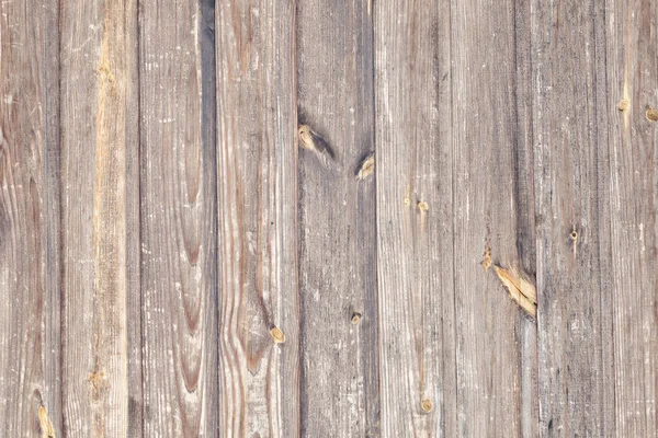 Vertical light brown boards. Texture. Background — Stock Photo, Image