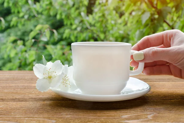 Female hand with white mug of tea and jasmine. Greenery on background