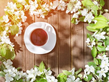 Bir fincan çay arasında ahşap arka plan üzerinde elma çiçeği. Üstten Görünüm