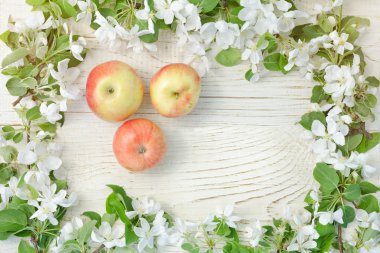 Beyaz ahşap arka plan. Olgun elma ve elma çiçekleri. 