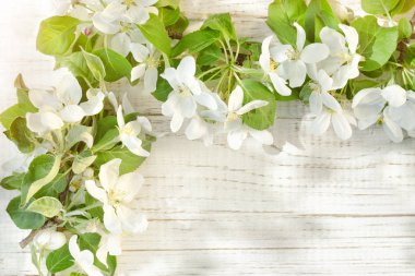 Büyük elma ağacı çiçek Beyaz ahşap zemin üzerinde