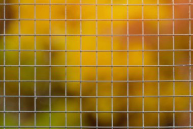 Büyük metal kafes. Arka plan bulanık