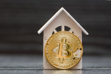 Beyaz Saray ve sikke Bitcoin siyah bir arka plan üzerinde