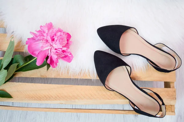 흰색 털에 검은 신발. 모란의 꽃다발입니다. 세련 된 개념 — 스톡 사진