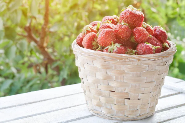 在绿色背景上的草莓篮子。在花园里的阳光 — 图库照片