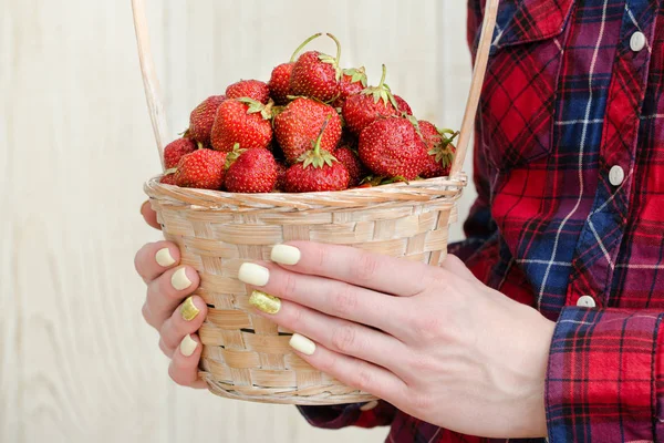 A nők kezében tartja egy fonott kosár, érett földieper. — Stock Fotó